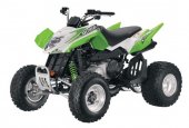 2011 Arctic Cat 300 DVX photo